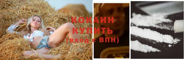 СК Алексеевка