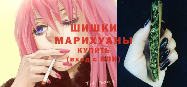 бошки Алексин