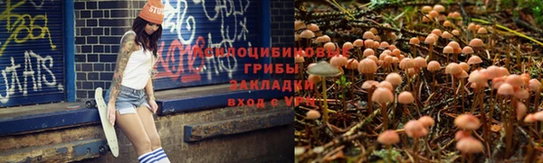 бошки Алексин