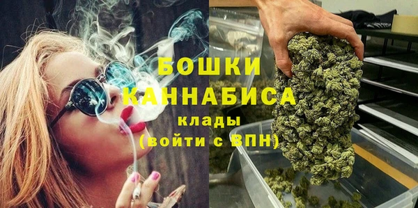 бошки Алексин