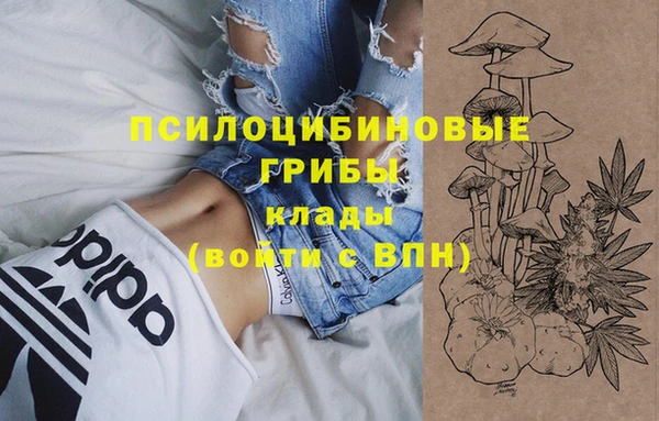 СК Алексеевка
