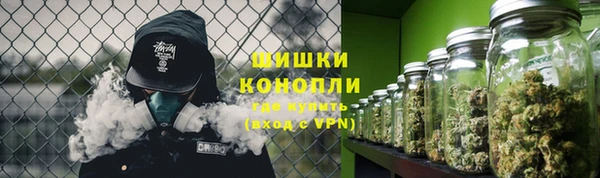 бошки Алексин